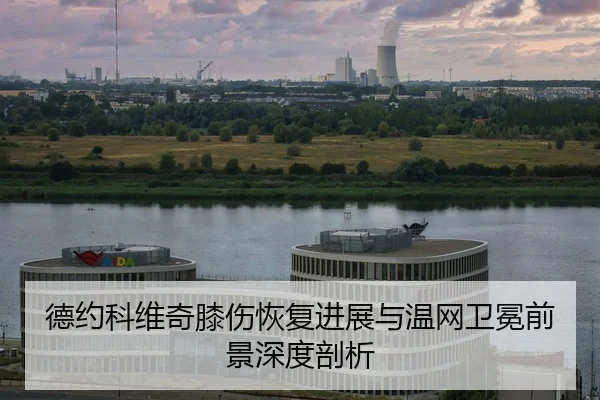 de-yue-ke-wei-qi-xi-shang-hui-fu-jin-zhan-yu-wen-wang-wei-mian-qian-jing-shen-du-pou-xi-2-546.jpg