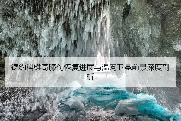 德约科维奇膝伤恢复进展与温网卫冕前景深度剖析