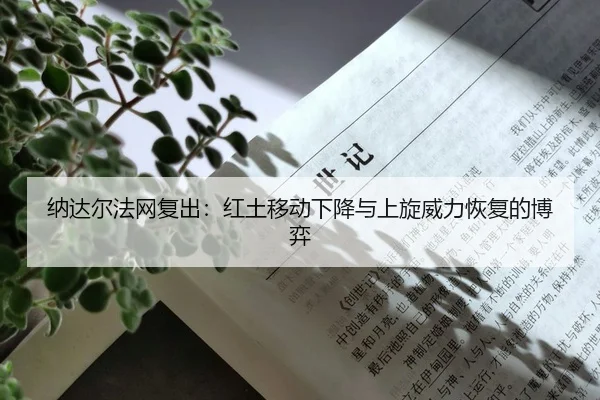 na-da-er-fa-wang-fu-chu-hong-tu-yi-dong-xia-jiang-yu-shang-xuan-wei-li-hui-fu-de-bo-yi-2-491.jpg